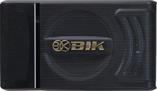 LOA KARAOKE BIK BS-880SV 2