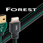 day-cap-Lightning-AudioQuest-Forest