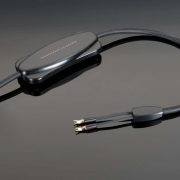 Transparent-Reference-Speaker-Cable